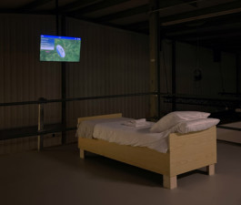 This is Yedam Ann's website