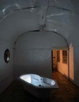 This is Yedam Ann's website