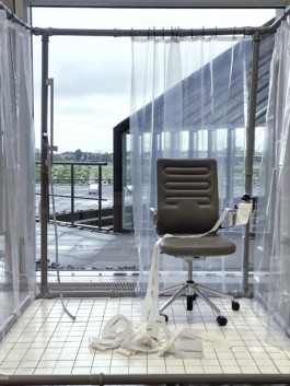 This is Yedam Ann's website